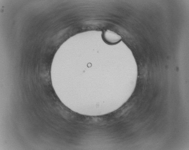 X0000079321109200612081927