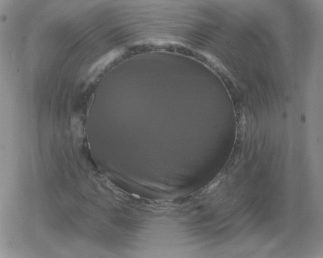 X0000079321110200612081927