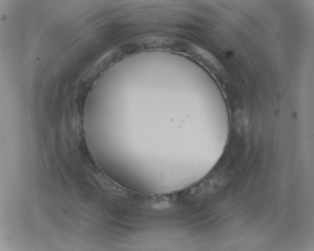 X0000079321111200612081927