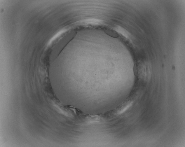 X0000079321112200612081927