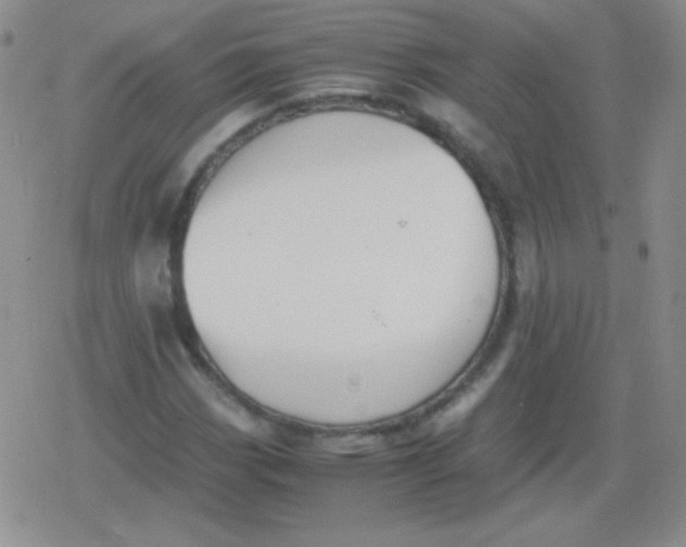 X0000079321113200612081927