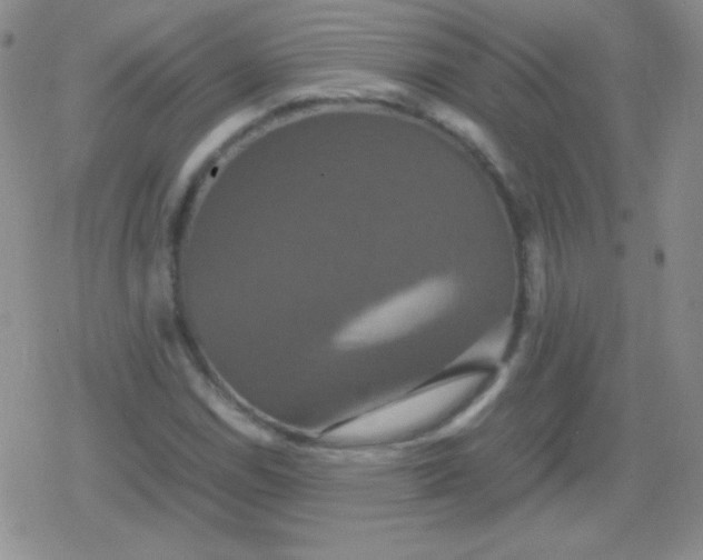 X0000079321114200612081927