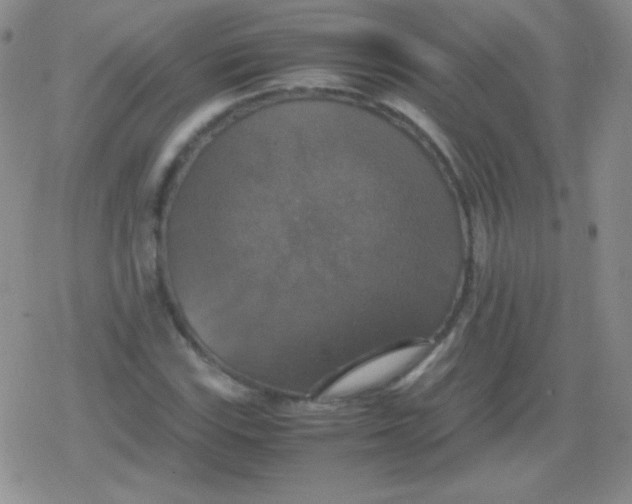 X0000079321115200612081927