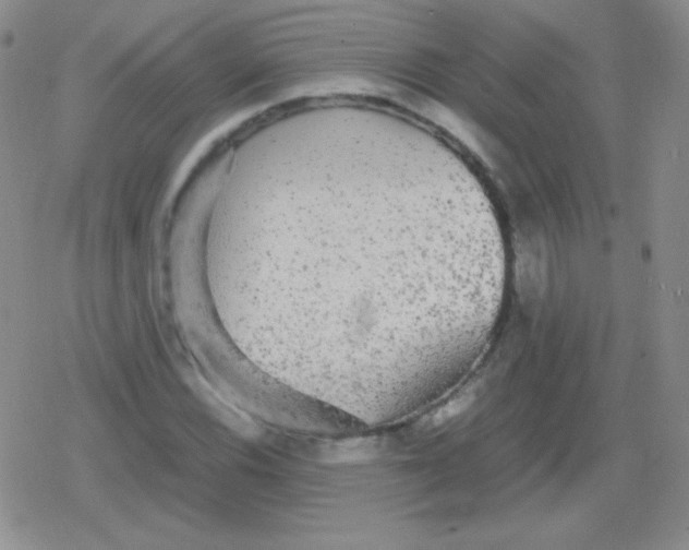 X0000079321116200612081927