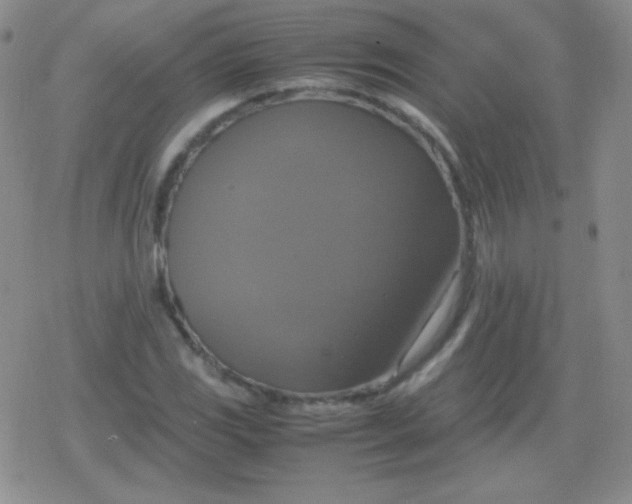 X0000079321117200612081927