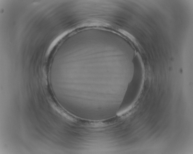 X0000079321120200612081927