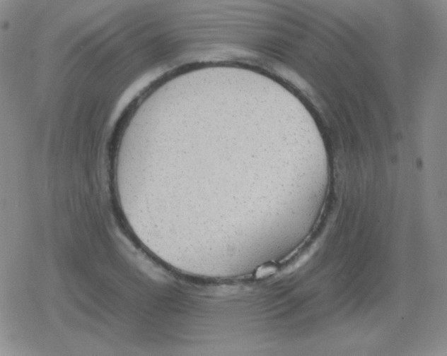 X0000079321122200612081927