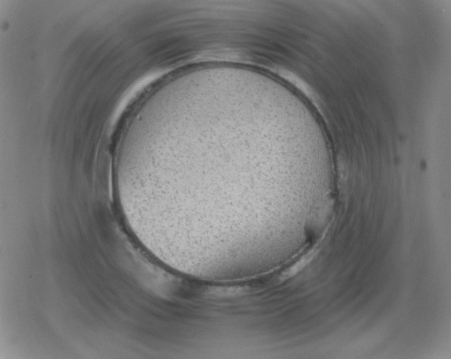 X0000079321123200612081927