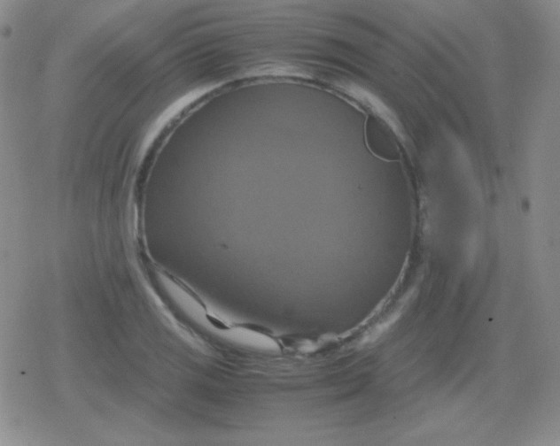 X0000079321125200612081927