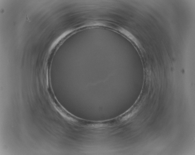 X0000079321127200612081927