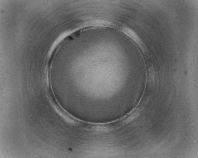 X0000079321128200612081927