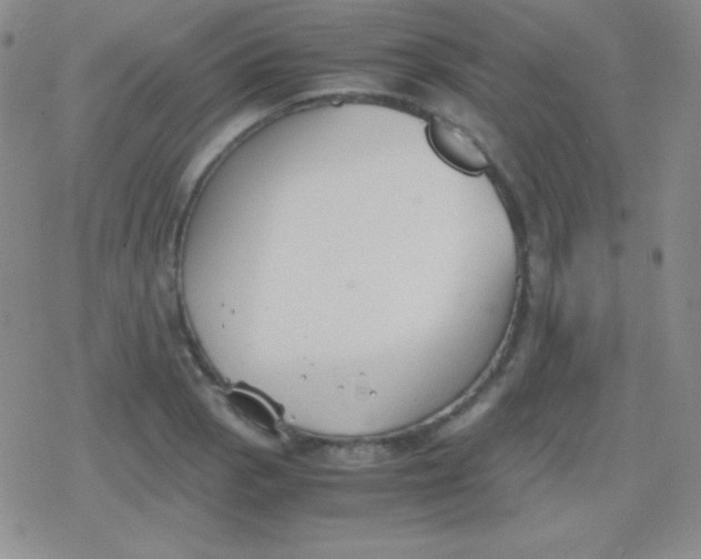 X0000079321129200612081927