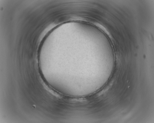 X0000079321133200612081927