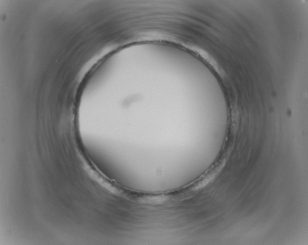 X0000079321134200612081927