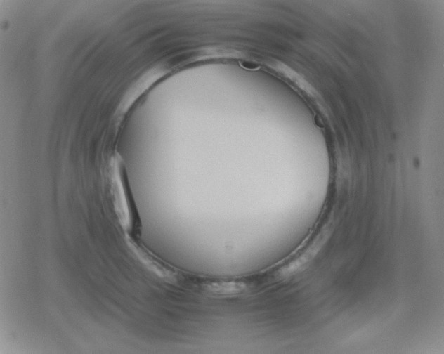 X0000079321137200612081927