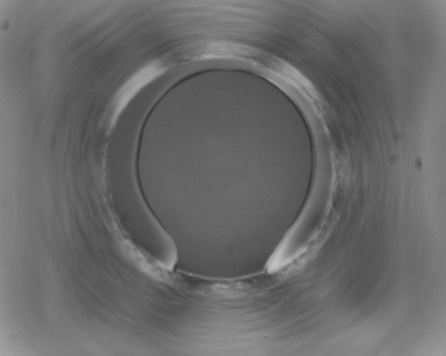 X0000079321138200612081927