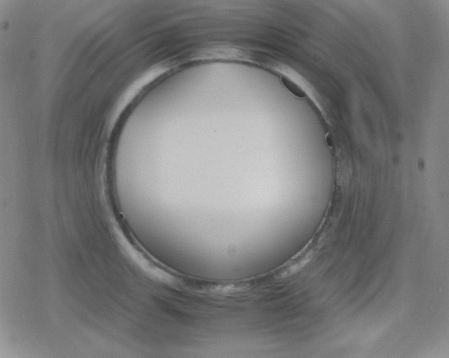 X0000079321139200612081927