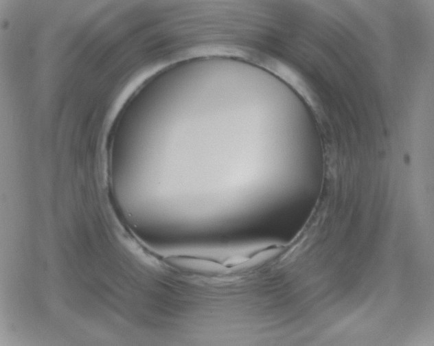 X0000079321140200612081927