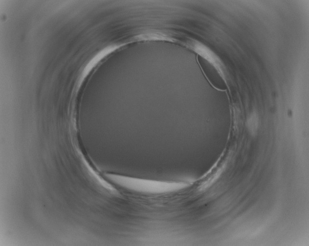 X0000079321141200612081927