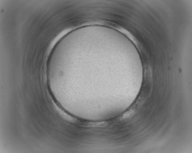 X0000079321143200612081928