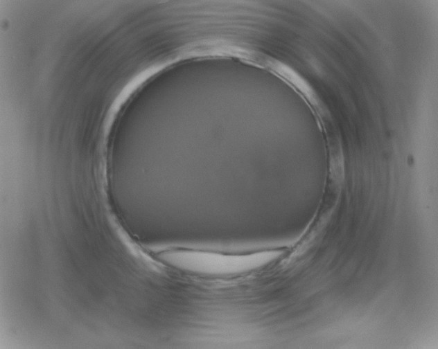 X0000079321144200612081928