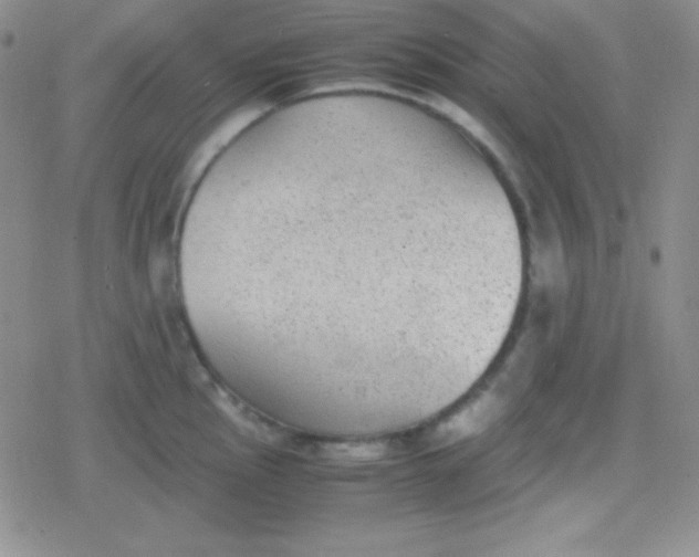 X0000079321145200612081928