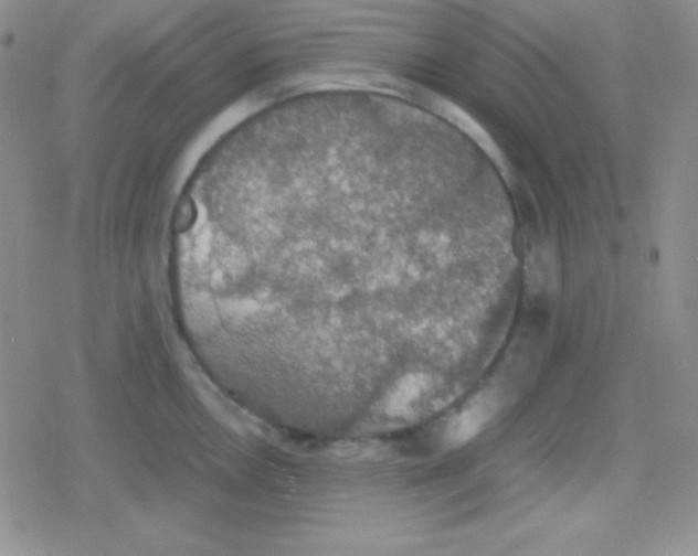 X0000079321146200612081928