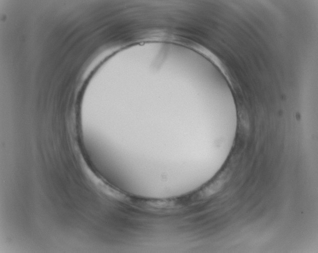 X0000079321147200612081928