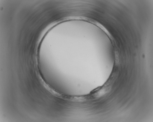 X0000079321148200612081928