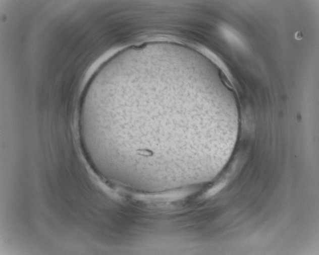 X0000079321149200612081928