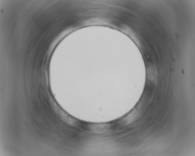 X0000079321150200612081928