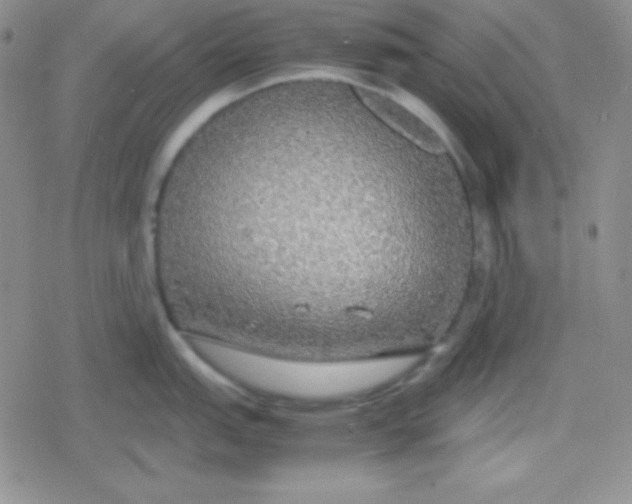 X0000079321151200612081928