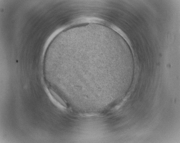 X0000079321152200612081928