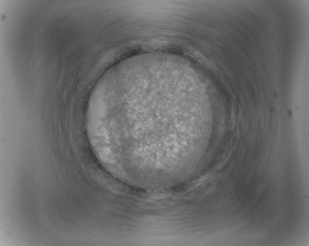 X0000079321153200612081927