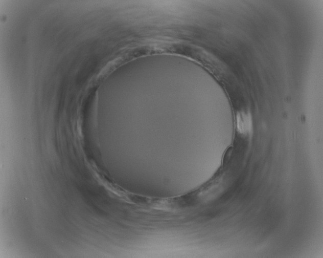 X0000079321155200612081927