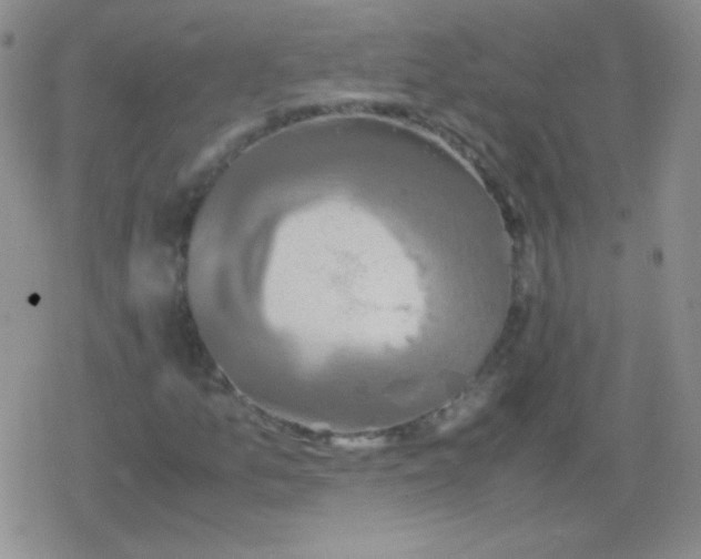 X0000079321157200612081927