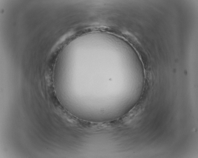 X0000079321159200612081927