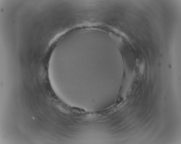 X0000079321160200612081927