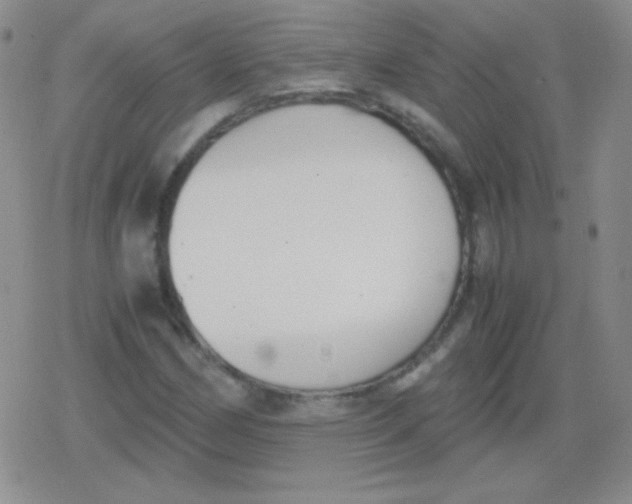 X0000079321162200612081927