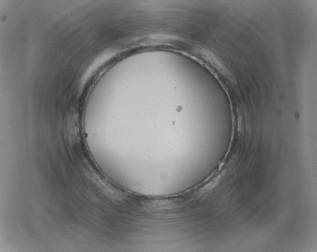 X0000079321164200612081927