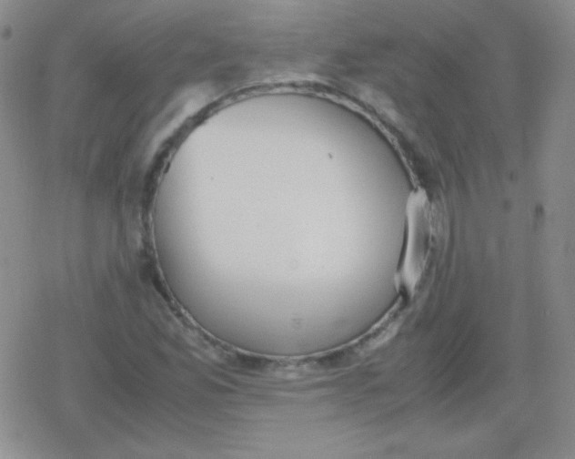 X0000079321165200612081927