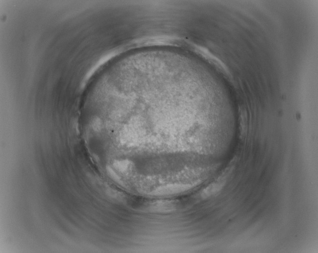 X0000079321166200612081927