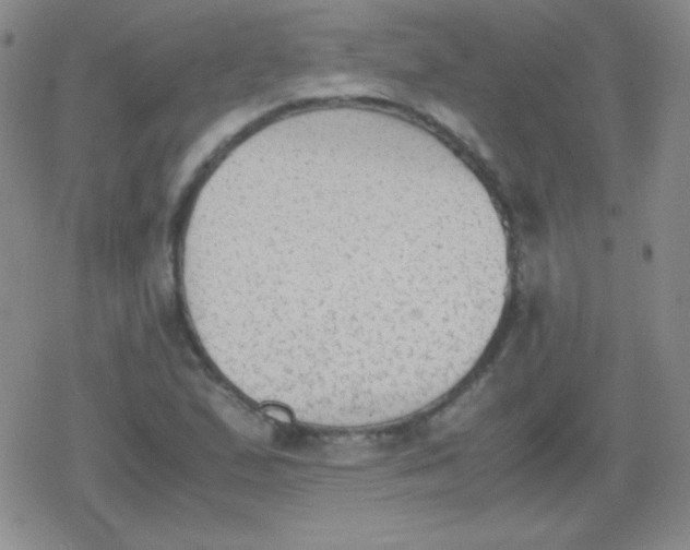 X0000079321167200612081927