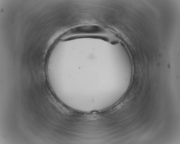 X0000079321168200612081927