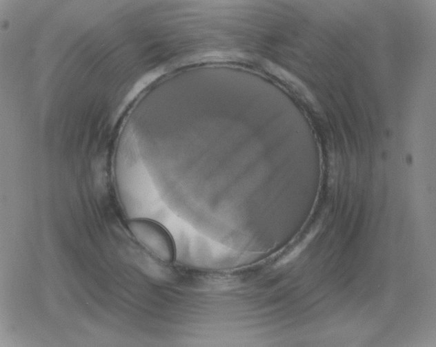 X0000079321170200612081927