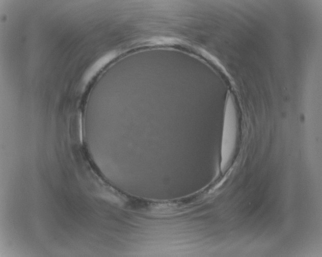 X0000079321171200612081927