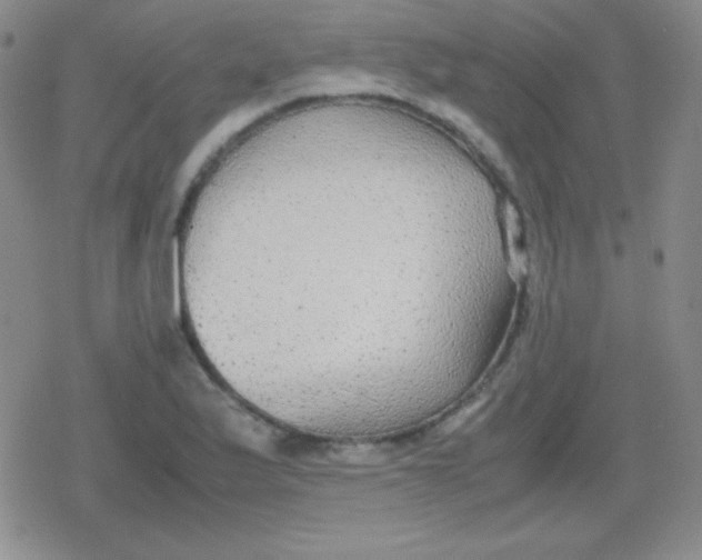 X0000079321175200612081927