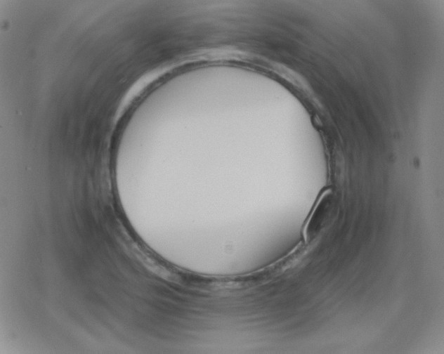 X0000079321176200612081927