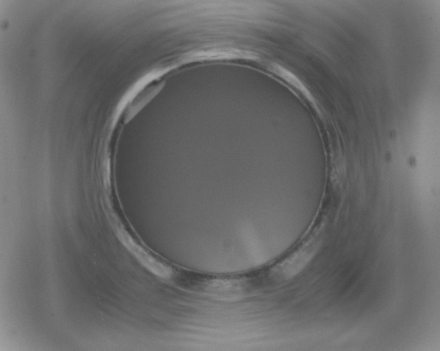 X0000079321179200612081926