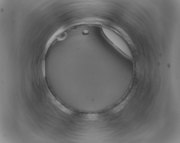 X0000079321180200612081926